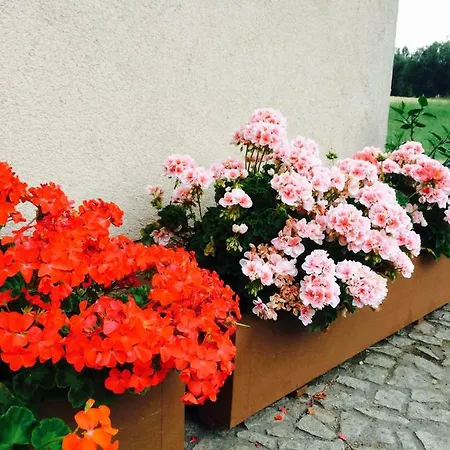 Prazdninovy Dum Cihelna Holiday home *