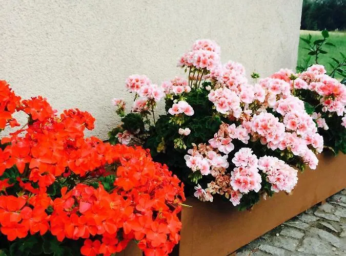 Prazdninovy Dum Cihelna Casa de Férias *
